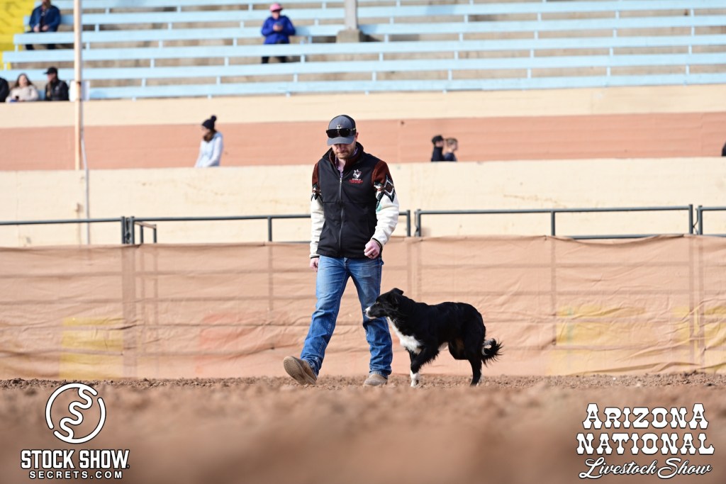 Zac Brady - Spade B Stockdogs