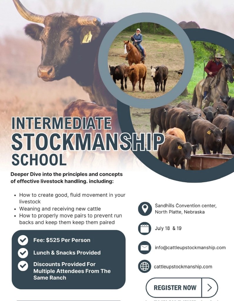 Intermediate Stockmanship School