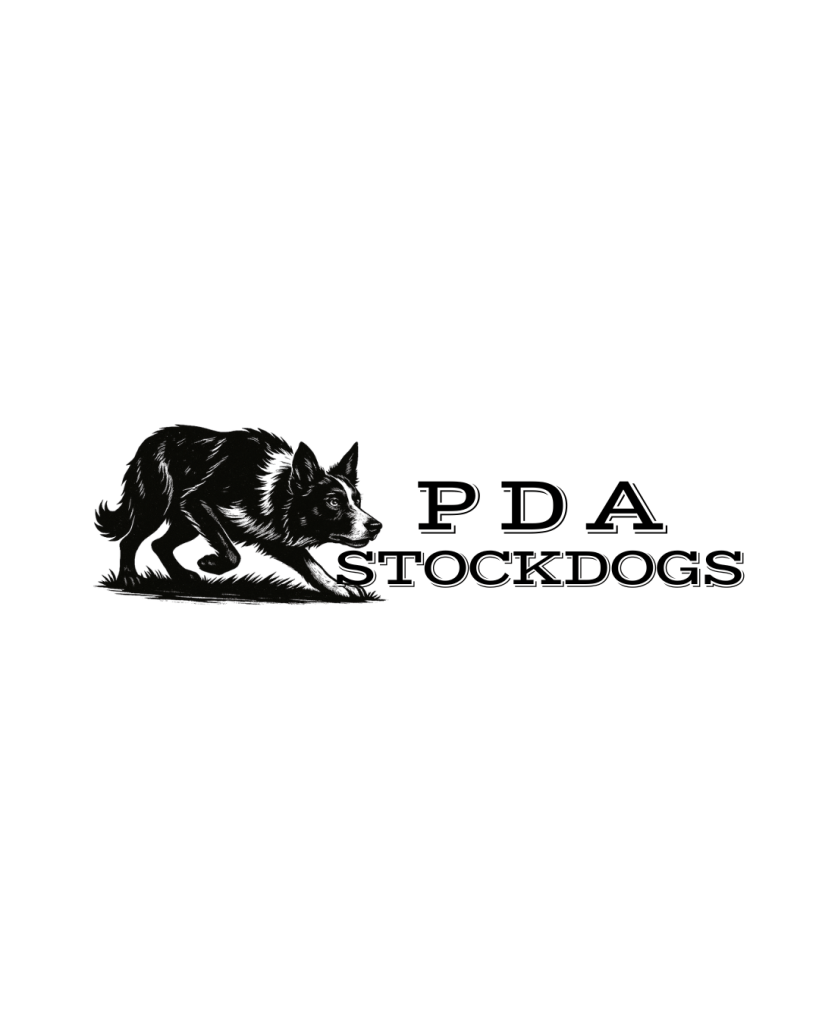 Paul Andersen - PDA Stockdogs