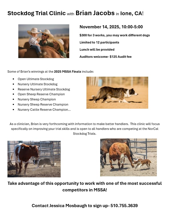 Stockdog Trial Clinic- Brian Jocobs